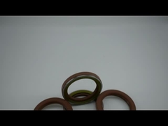 N0K Oil Seal TCN Fkm Oil Seal AP3409 FKM Metal NBR Seal Ring