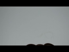 DCY DC AW3055 Oil Seal Ring NBR Metal Rubber FKM Double Spring Oil Seal High Pressure