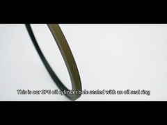 Hydraulic Cylinder Piston Seal SPG 80*6 for Optimal Sealing Performance