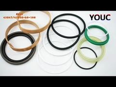 HS-3DX-ARM-42847-42098-60-100 Excavator Model Seal Kit