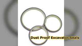 Excavator Dust Seal DLI Protects Your Equipment