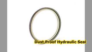 DKBI Hydraulic Seal Dust Protection 95x109x8 11mm
